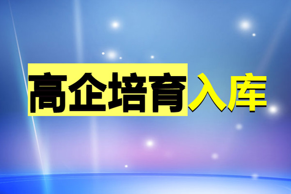高企培育指导服务（高新技术企业培育入库）