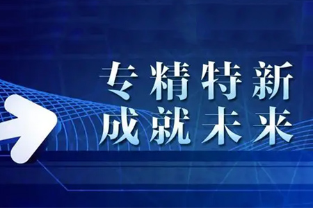 广州市专精特新中小企业培育三年行动方案