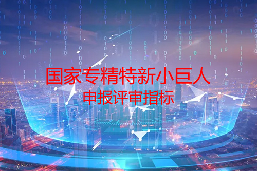 国家专精特新小巨人申报评审指标，专家解读