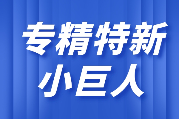 专精特新小巨人企业的主要特征，小巨人企业的重点领域