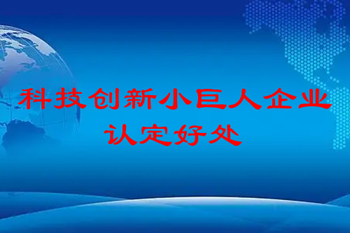 科技创新小巨人企业认定有什么好处