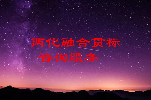 两化融合贯标咨询服务人员是做什么的