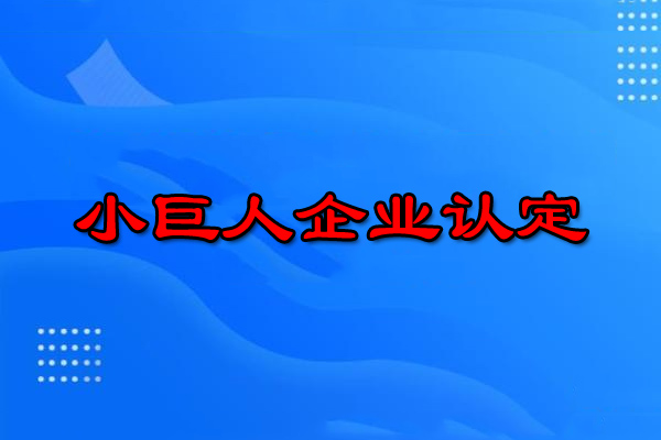广州小巨人企业申请条件（广州小巨人企业怎么申报）